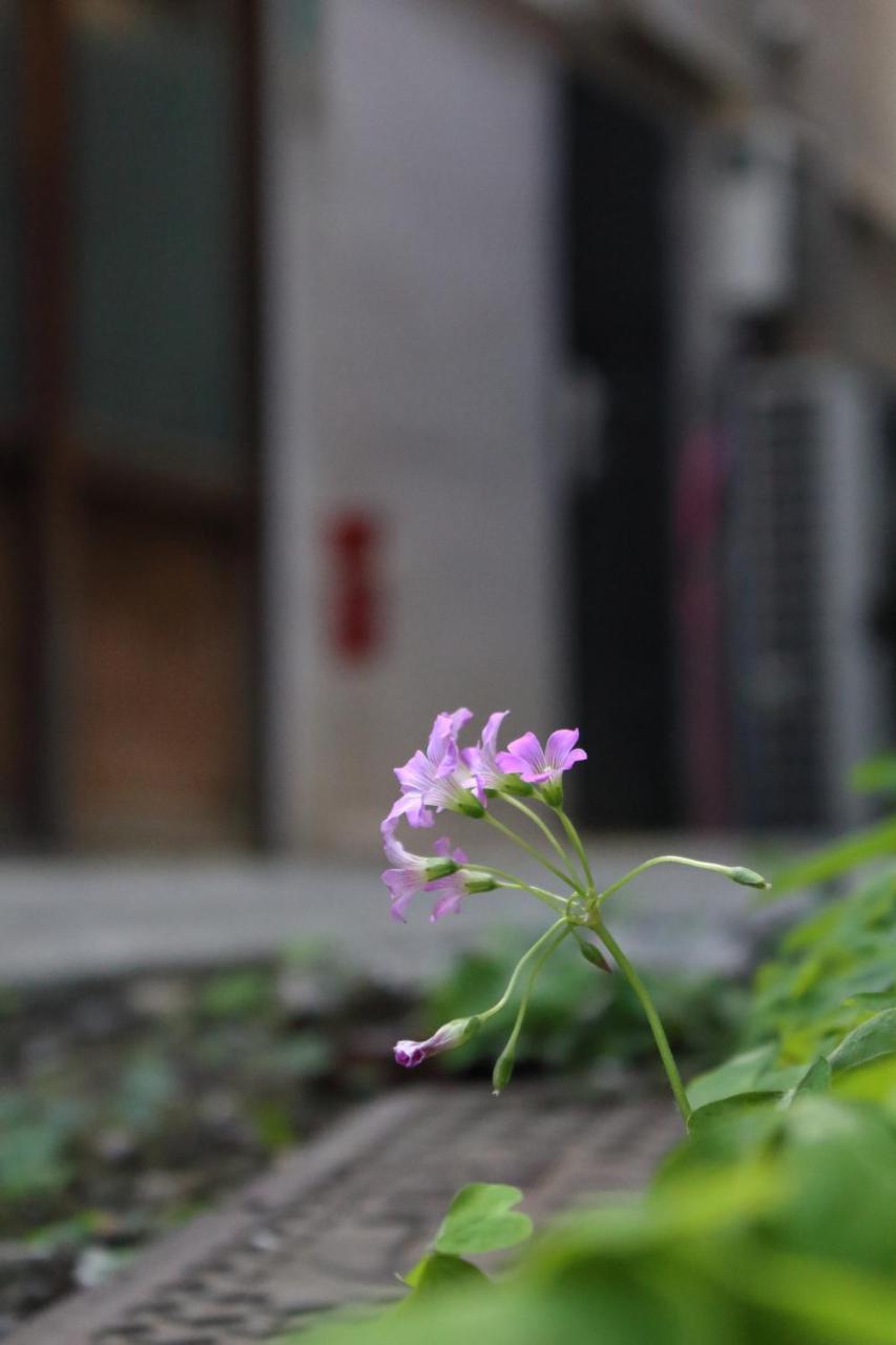 Chiyoda Inn Tokyo Eksteriør bilde